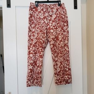 PATAGONIA Pants, Cute Beachcombers Rust Color Print, size 10